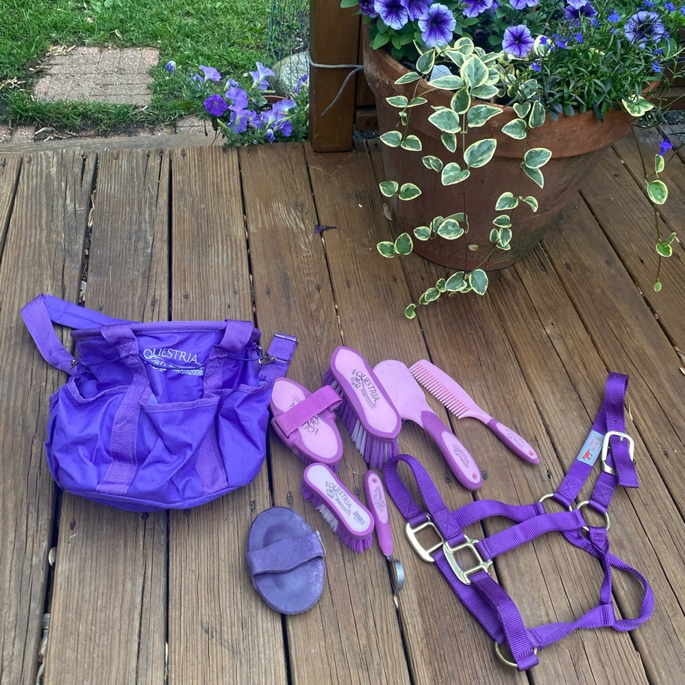 Equestria Grooming Set & Halter